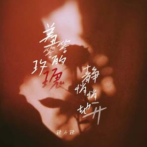 羞答答的玫瑰静悄悄地开