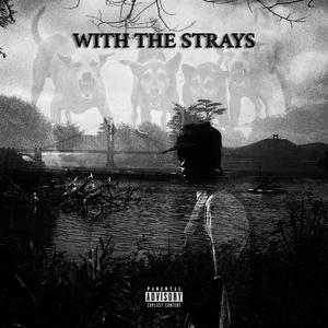 With The Strays (Explicit)