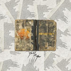 Scrapped Journals