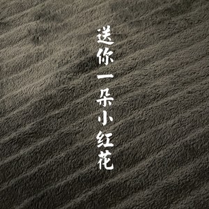 送你一朵小红花