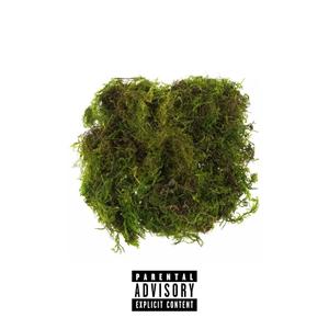 Ssom Woss (feat. Ron Paul) (Explicit)