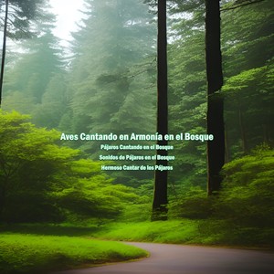 Aves Cantando en Armonía en el Bosque, Pt. 17