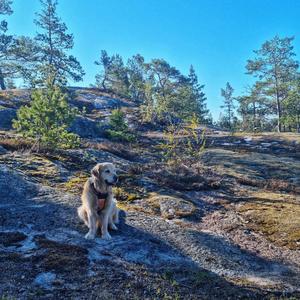 Whispers of Spring Nature