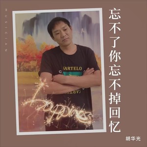 忘不了你忘不掉回忆