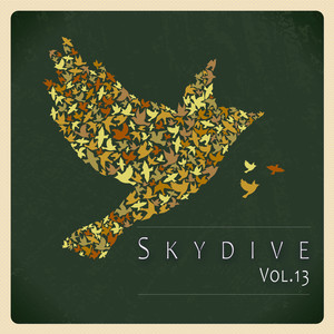 Skydive, Vol. 13