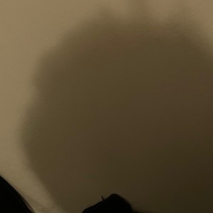 Freddy M. : The Tale