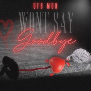 Wont Say Goodbye (Explicit)