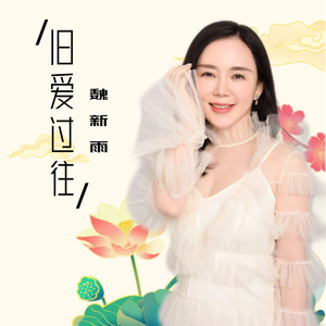 魏新雨 - 旧爱过往