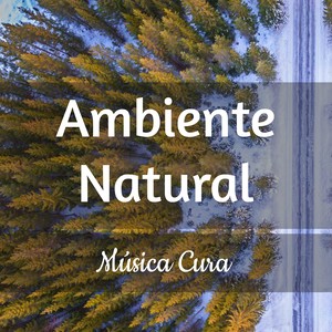 Ambiente Natural - Música Cura para Estudar Aula de Meditação Melhorar A Concentração com Sons Binaurais Relaxantes