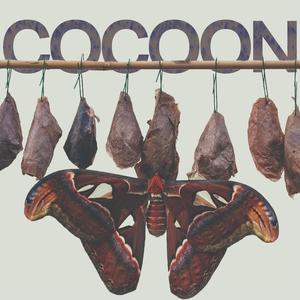 Cocoon