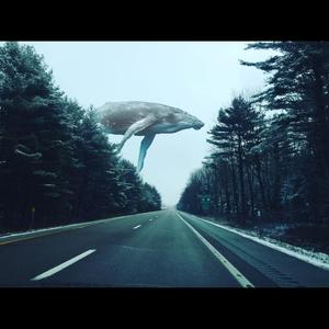 2025 (feat. RøadDøg)