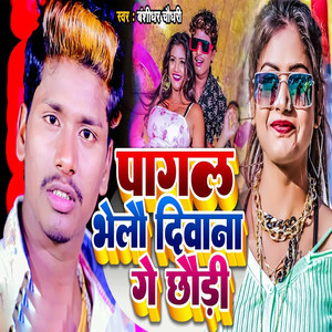 Pagal Bhailau Diwana Ge Chhaudi