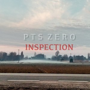 Inspection