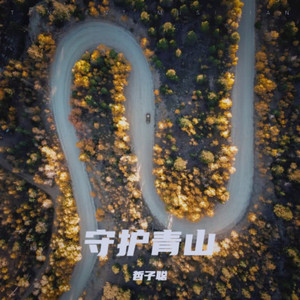 守护青山