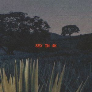 SEX IN 4K