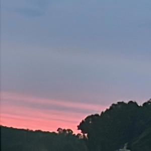 The Way You Do That (Explicit)