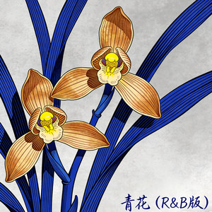 青花 (R&B版)