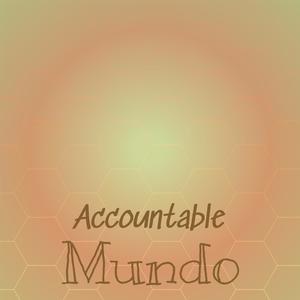 Accountable Mundo