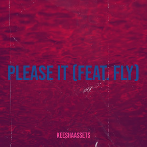 Please It (Explicit)