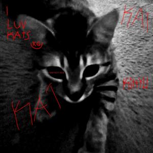 IM NOT SICK I JUST NEED A ****ING CAT (Explicit)