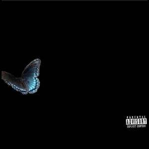 final messages (Explicit)