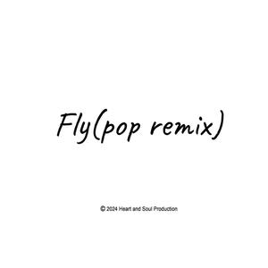 Fly (Pop remix)