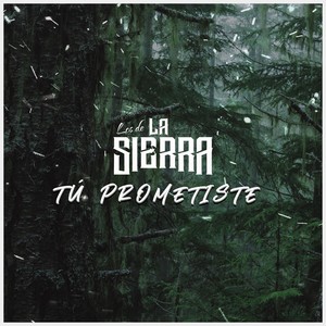 Tú Prometiste
