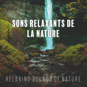 Sons Relaxants de la Nature (Relaxing Sounds of Nature)