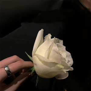 酒后艺术家 (说唱版)