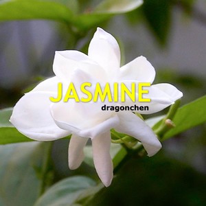 Jasmine