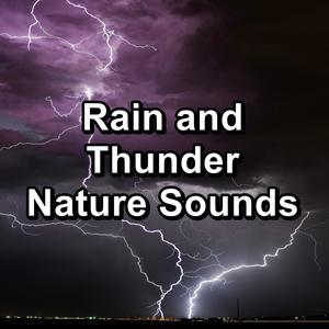 Rain Sounds For a Peaceful Night Calm Instrumental Sounds