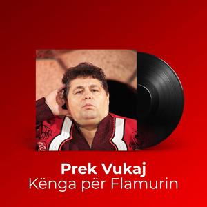 Kënga për Flamurin