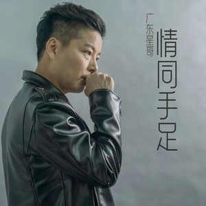 情同手足 (Live)封面