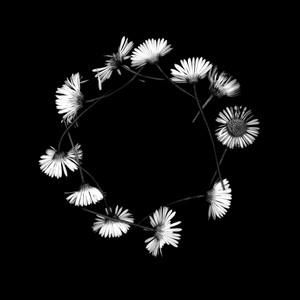 Wild to be Sharing This Moment