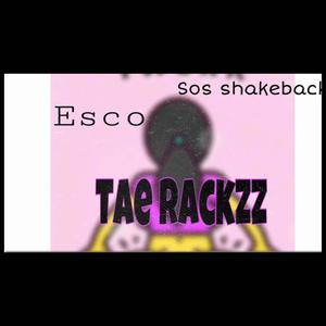 best 5 (feat. Tae rackzz, court loww, esco, sos shakeback & ymc Zee) [Explicit]