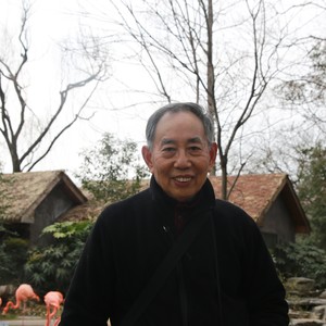 交谊舞慢三 雪绒花