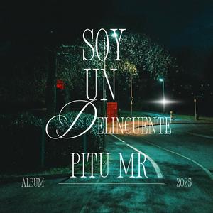 Soy un delincuente
