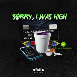 Sorry , I Was High (Explicit)