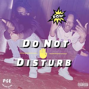 Do Not Disturb (feat. PGE TeeMoe) [Explicit]