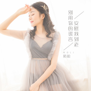 别用你的谎言安慰我到老