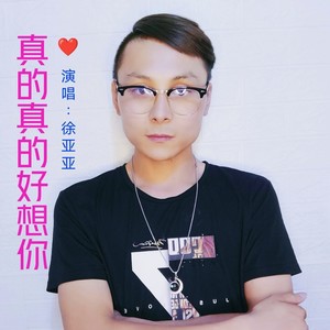 真的真的好想你