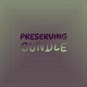 Preserving Bundle