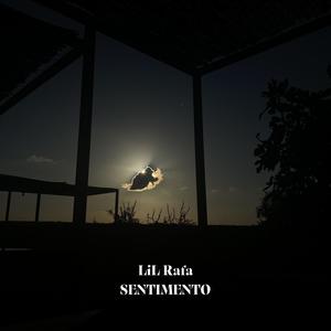 Sentimento (Explicit)