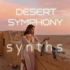 Desert Symphony (Radio Edit)