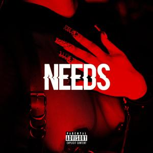 Needs (Explicit)