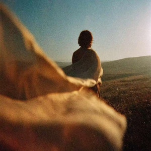 人生路漫漫(岁月皆温柔)-浮光金