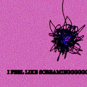 I FEEL LIKE SCREAMINGGGGGG (Explicit)