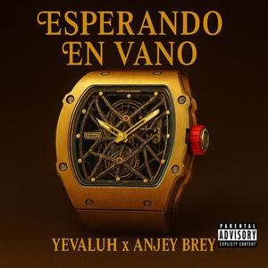 Esperando En Vano (feat. Anjey Brey) (Explicit)
