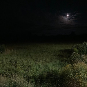 phone call - from eternal sunshine of the spotless mind (slowed & reverb with rain)