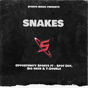 Opportunity Sports (feat. Spot Dot, Big Skiis & T-Double) [Explicit]